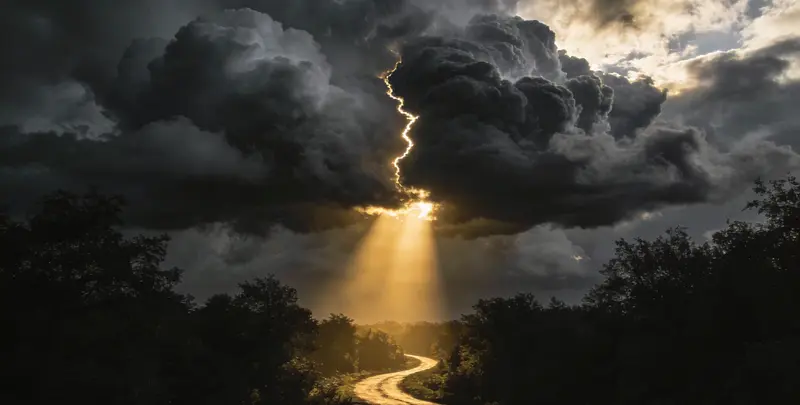 肺癌12基因ctDNA突变检测(血液）图3